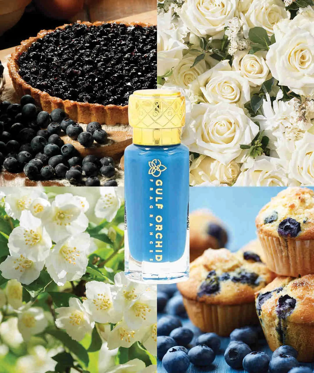 Gulf Orchid Musk Blueberry 12ml – Musc Fruité & Gourmand