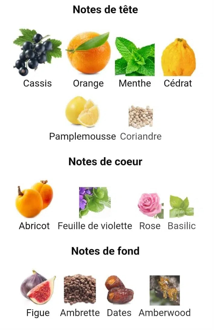 Afnan Rare Reef Extrait de Parfum 100ml – Parfum Frais Fruité & Boisé Unisexé