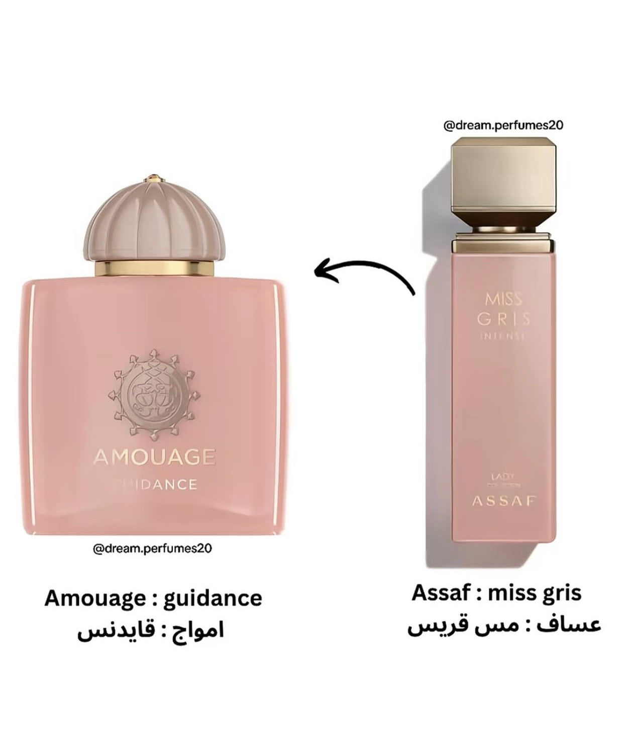 Miss Griss Intense Inspiré de Amouage Guidance 100ml